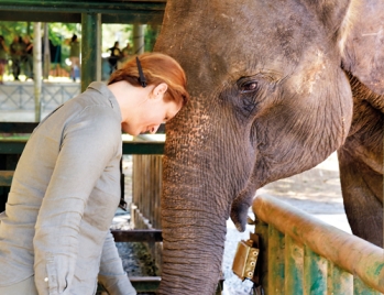 Queen of elephants