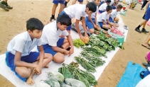 School children participated in a fair