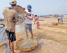 Dry fish from Negombo