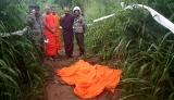 Elephant kills  elderly Bhikkhuni