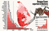 Jaffna’s 500pc dengue increase sends control chief north