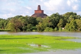 Floods follow drought for rice bowl