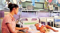 Red alert for new  strain of dengue
