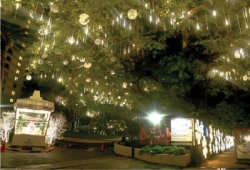 Christmas decorations from plastic bottles