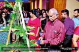 Annual Christmas Party of the College of Chemical Sciences of the Institute of Chemistry Ceylon