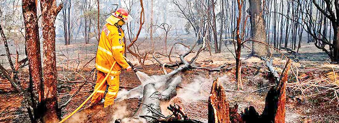 Australia: Hope for a Better Tomorrow