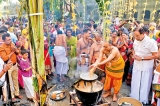 Thai Pongal celebrations in Colombo