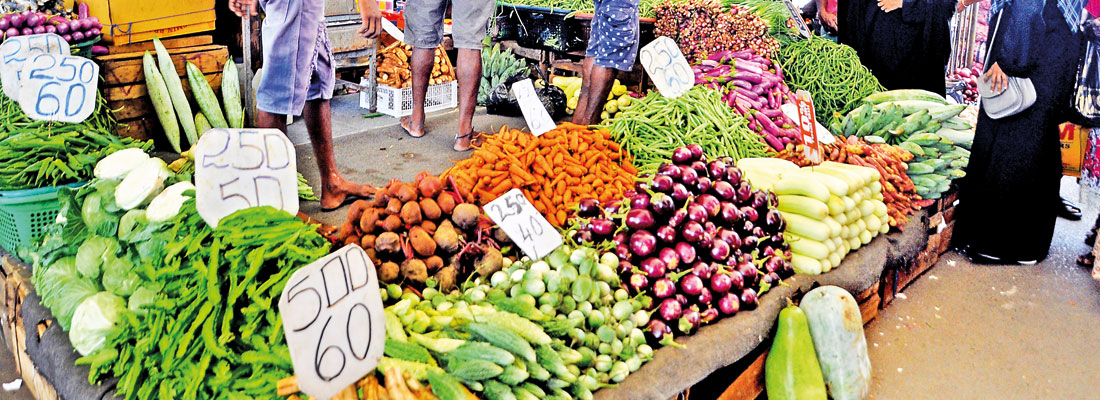 Trucks from Jaffna signal long- awaited drop in veggie prices