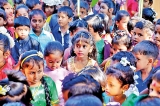 Thai Pongal festival