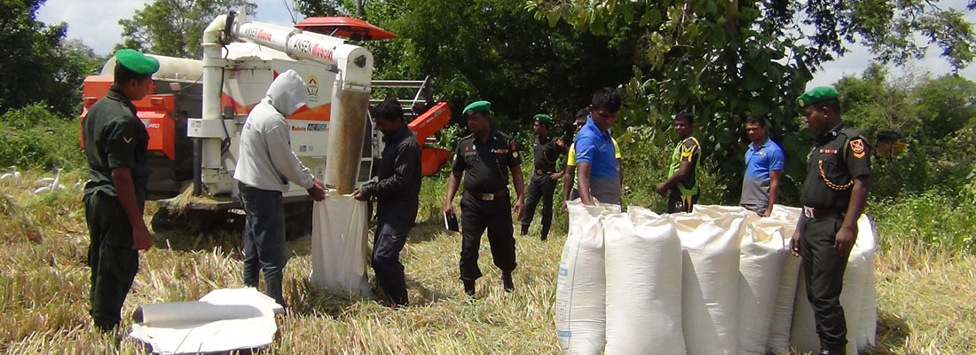 Army in battle against paddy mafia, helps PMB to buy more from farmers