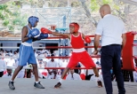 Namith Best Boxer as Thurstan stage house meet after two decades