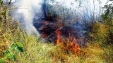 Prevailing heat creates  tinder dry conditions, sparking forest fires