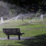 Vihara Mahadevi park: Keeping  cool