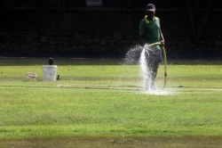 Keeping the grass green with positive hopes