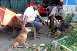 Thousands of nameless city dwellers walk the streets starving