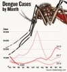 Monsoon coming, with an old health enemy lurking