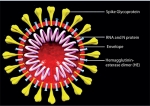 Diagnostic testing  for COVID-19: A guide to basic principles