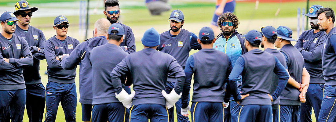 Cricketers set to resume training on Friday