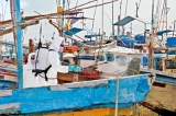 Fisheries harbour gets virus cleanup