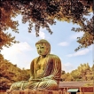 Depicting the Buddha
