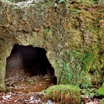 Kabok Tunnel