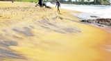 Storm over sand nourishment