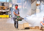 Rains and end of curfew signal rise in dengue