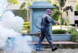 Dengue eradication given priority in and around schools