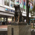 The statue of Hachiko, known as the most loyal dog in history, can be found in front of the  Shibuya Station in Tokyo