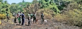 Fire engulfs rare sanctuary