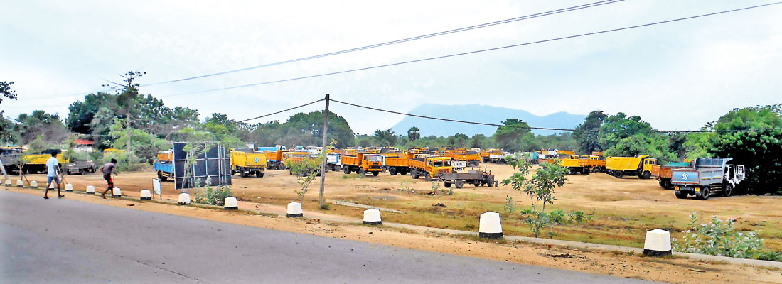 Illegal sand miners given licence to dig environmental grave