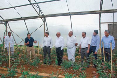 a-Dematawa-explaining-the-process-inside-of-a-cultivation-tunnel-to-the-DIMO-Management_08072020_B05_CMY
