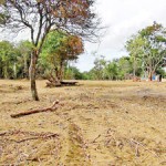 Some of the land that had been cleared and various structures built on it