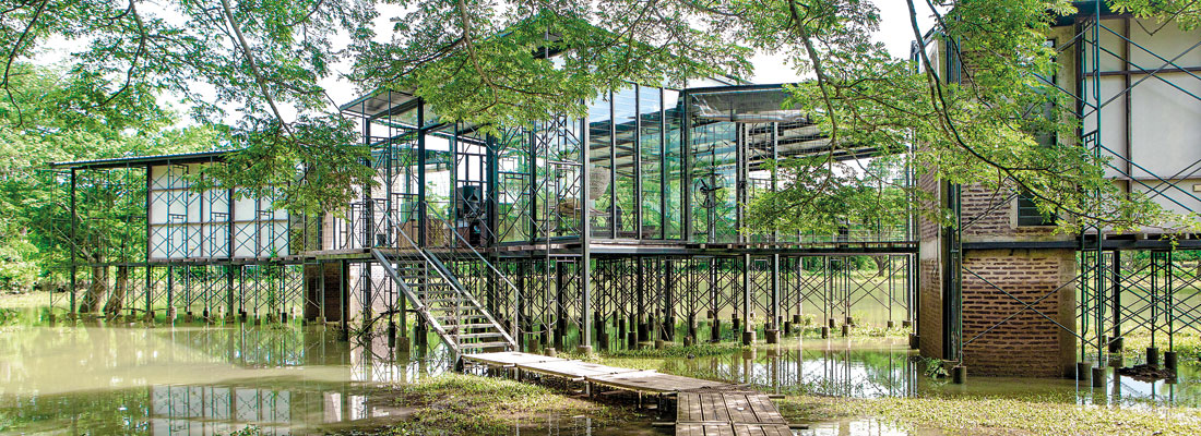 Stark house on stilts