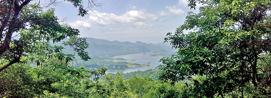 One with nature & community amidst a Kandyan Forest Garden