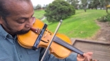DD Gunasena : much sought-after violin exponent