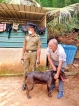 Top police dogs fetch high prices at auction in Kandy