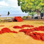 Fish nets laid out to dry