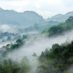 Neluwa: Misty mountains