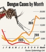 Deadly little upward curl  in dengue  cases detected