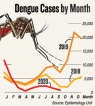 Deadly little upward curl in dengue cases detected Deadly little upward curl in dengue cases detected