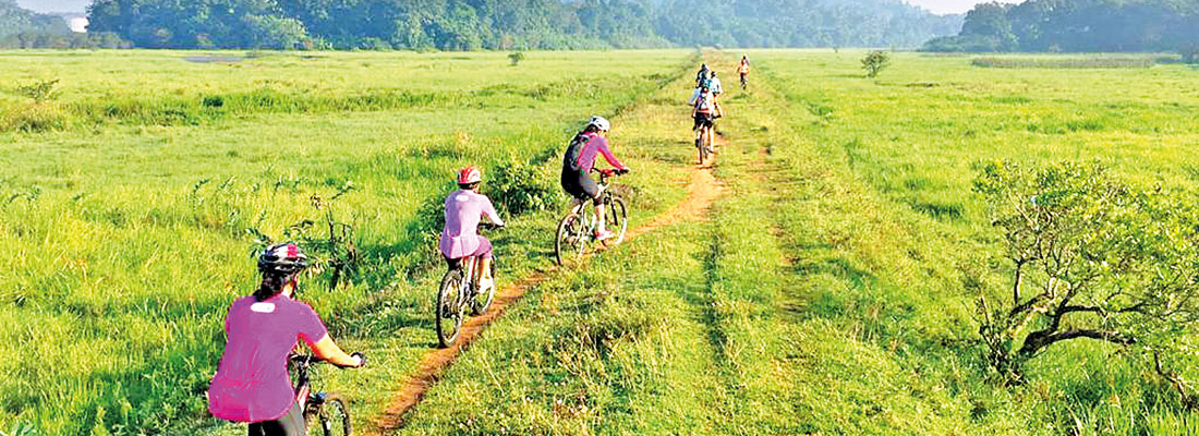 Mud Bunnies: Cycling for everyone