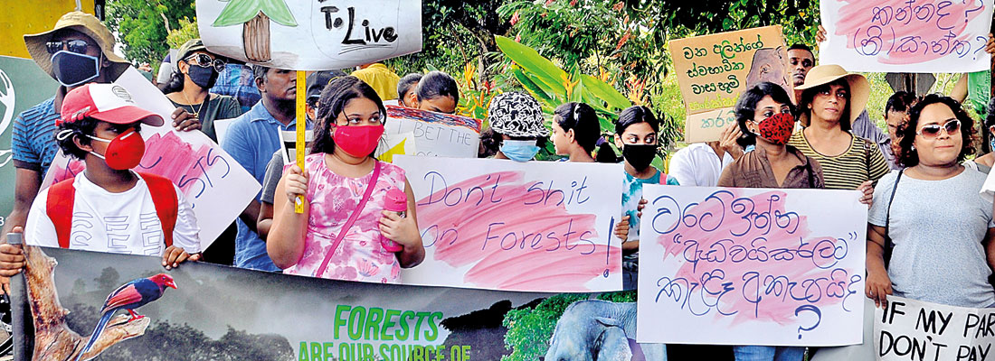 Forest destruction alarm raised despite official denials