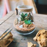 A little bit of outdoors indoors: Terrariums in all shapes and sizes