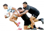 Pumas stun All Blacks