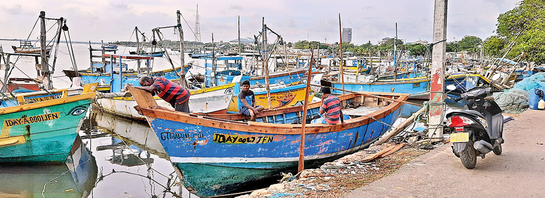 COVID sinks the hopes of northern fisherfolk