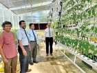 SLIIT into High-Tech Horticulture – Vertical Farming