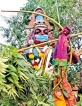 Vaccines coming; but rituals also continue; in Jaffna even Asuran wears mask