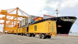 Colombo Port backup team at the ready for virus emergencies