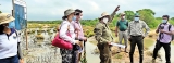 Unique mangrove restoration project takes root in Puttalam